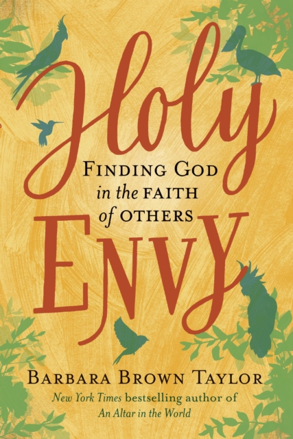 Holy Envy : Finding God in the faith of others