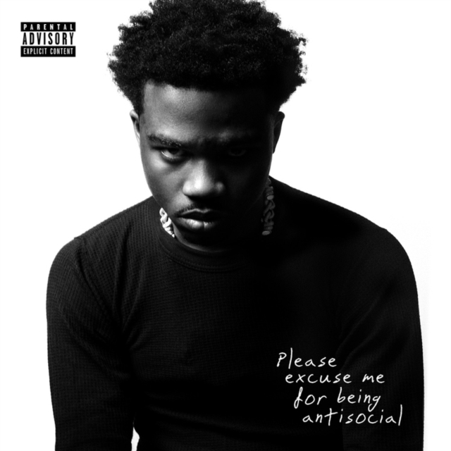 Roddy Ricch - Please Excuse Me for Being Ant - Vinyl Record VINYL image 1
