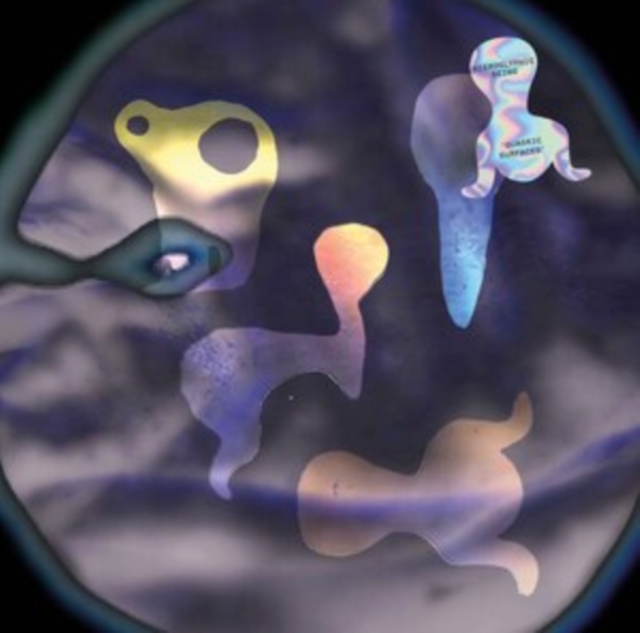 HIEROGLYPHIC BEING - QUADRIC SURFACES - Vinyl Record image 1