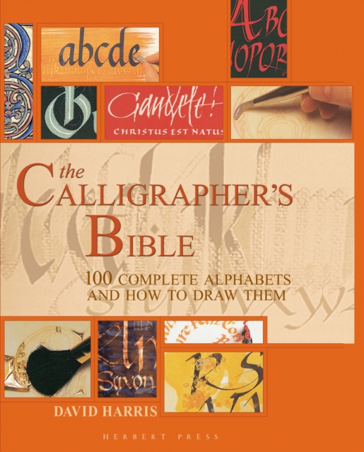 The Calligrapher's Bible : 100 Complete Alphabets and How to Draw Them