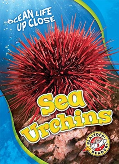 Sea Urchins