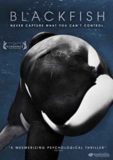 BLACKFISH (MC) DVD - DVD image 1