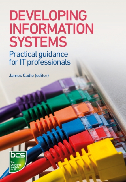 Developing Information Systems : Practical guidance for IT professionals