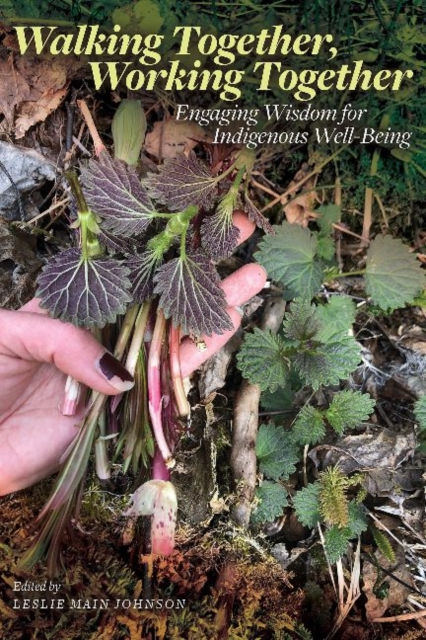 Walking Together, Working Together : Engaging Wisdom for Indigenous Well-Being