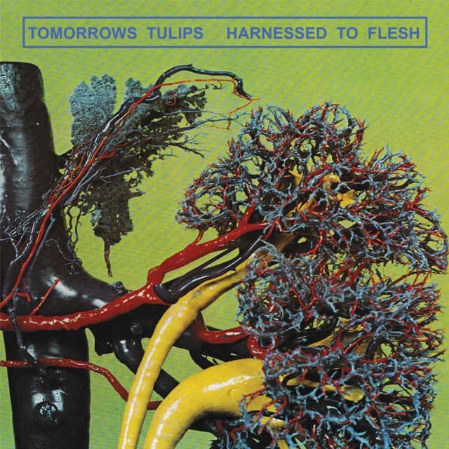 Tomorrows Tulips - Harnessed To Flesh - Used Vinyl Record image 1