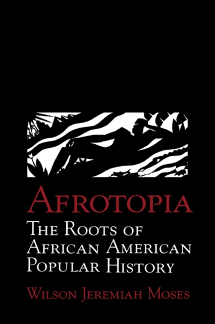 Afrotopia: The Roots of African American Popular History