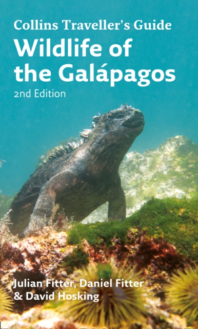 Wildlife of the Galapagos