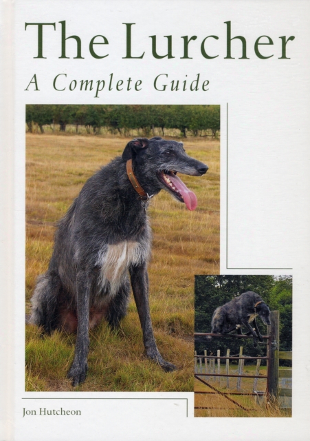 The Lurcher : A Complete Guide