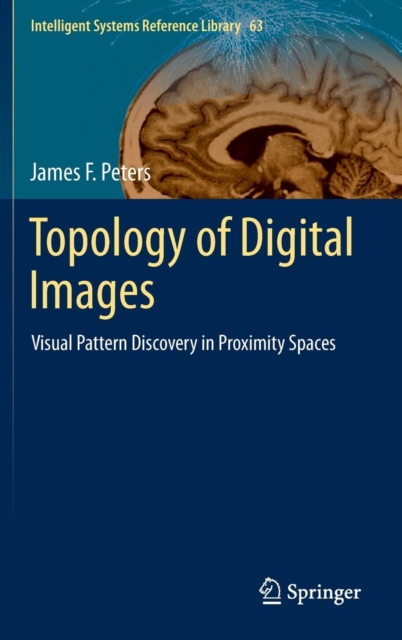 Topology of Digital Images : Visual Pattern Discovery in Proximity Spaces