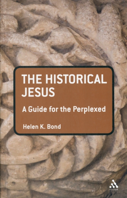 The Historical Jesus : A Guide for the Perplexed