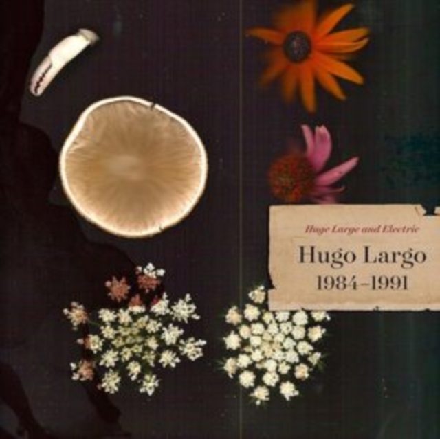 HUGE, LARGE & ELECTRIC: HUGO LARGO 1984-1991 (3LP)