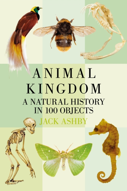 Animal Kingdom : A Natural History in 100 Objects