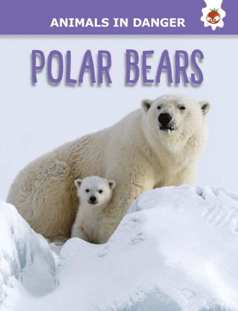 Polar Bears : Animals In Danger