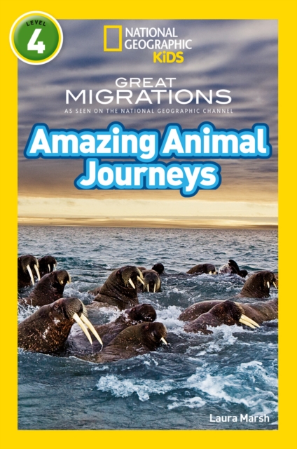 Amazing Animal Journeys : Level 4