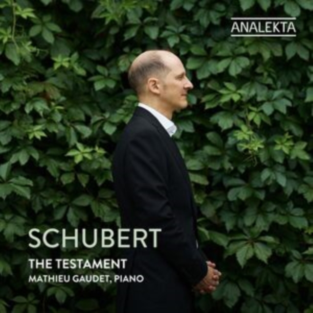 MATHIEU GAUDET - SCHUBERT THE TESTAMENT - cd image 1