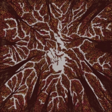 Trash Boat - Crown Shyness - Vinyl 12" Album Coloured Vinyl image 1