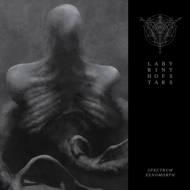 LABYRINTH OF STARS - SPECTRUM XENOMORPH - Vinyl Record image 1