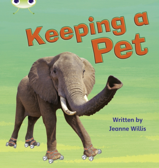 Jeanne Willis - Bug Club Phonics Bug Non-fiction Set 13 Keeping a Pet image 1