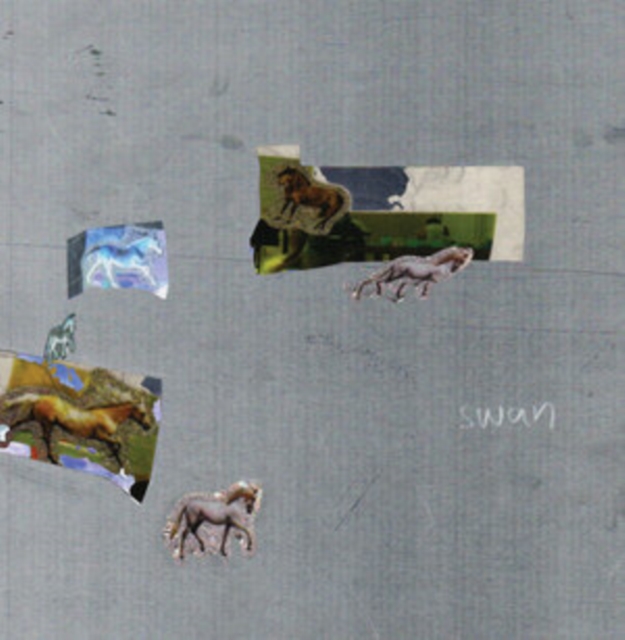 FAZED ON A PONY - SWAN - Vinyl Record lp image 1