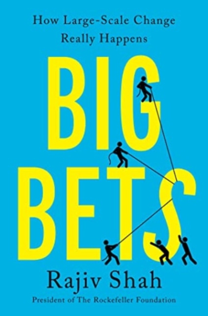 Big Bets : How Large-Scale Change Really Happens