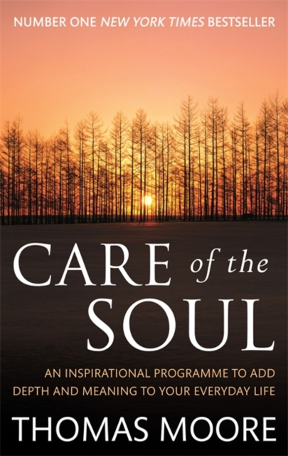 Care Of The Soul : An inspirational programme to add depth and meaning to your everyday life