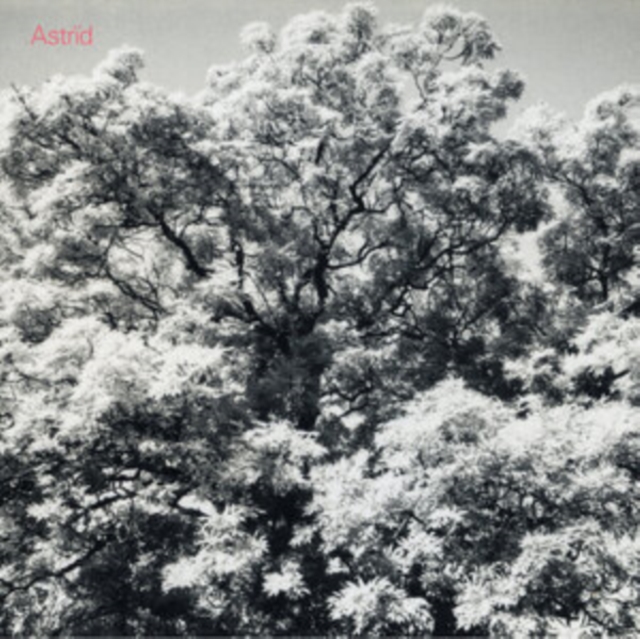 ASTRID - ALWAYS DIGGING THE SAME HOLE - CD