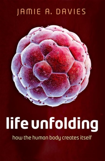 Life Unfolding : How the human body creates itself