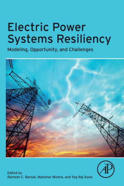 Electric Power Systems Resiliency : Modelling, Opportunity and Challenges