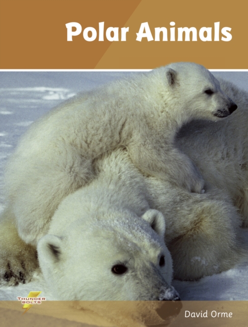 Polar Animals : Set 4