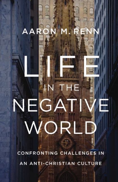 Life in the Negative World : Confronting Challenges in an Anti-Christian Culture