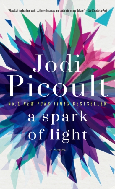 A Spark of Light : A Novel