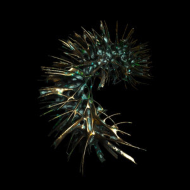 SLEEPWALKER - SKOPOFOBOEXOSKELETT - CD image 1