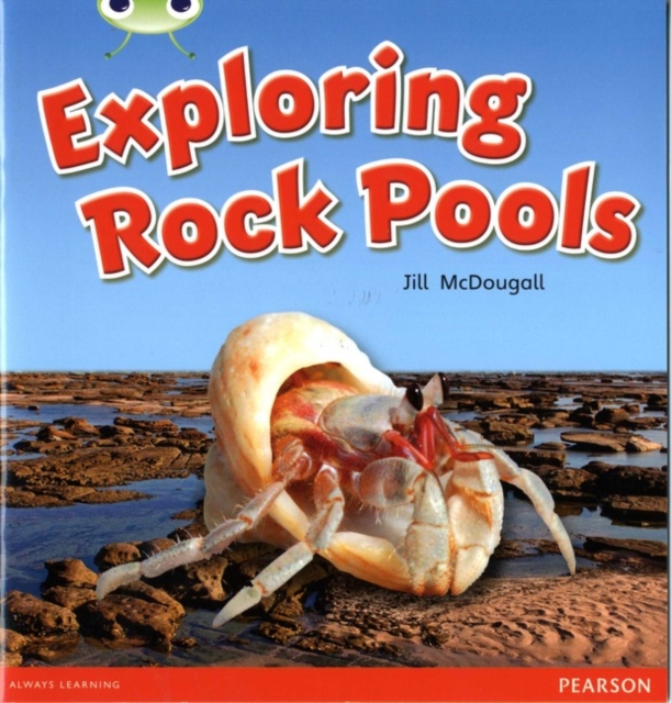 Bug Club Non-fiction Green C Exploring Rock Pools