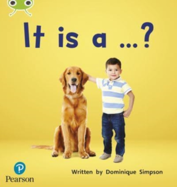 Dominique Simpson - Bug Club Phonics Non-Fiction Early Years and Recep image 1