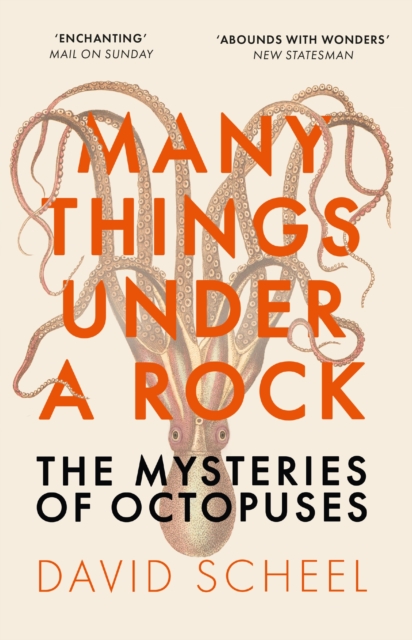 Many Things Under a Rock : The Mysteries of Octopuses