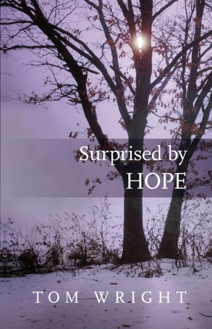 Surprised by Hope