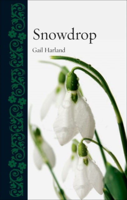 Snowdrop