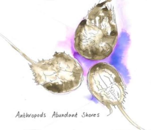 ANTHROPODS - ABUNDANT SHORES - CD image 1
