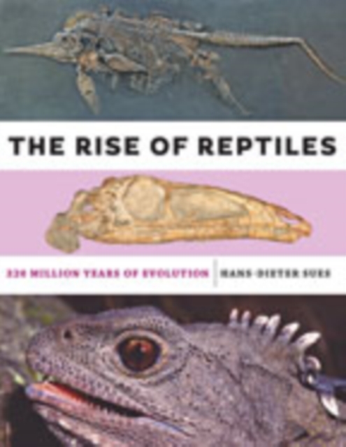 The Rise of Reptiles : 320 Million Years of Evolution