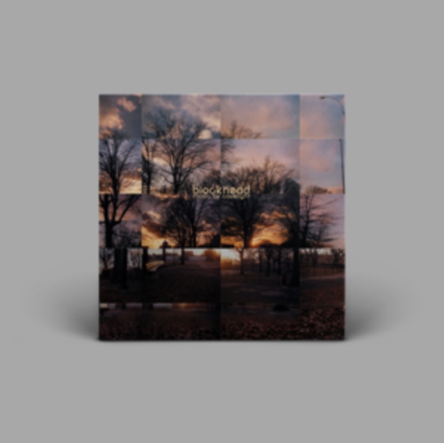 BLOCKHEAD - MUSIC BY CAVELIGHT (20 YEAR ANNIVERSARY REISSUE) (MARBLED image 1