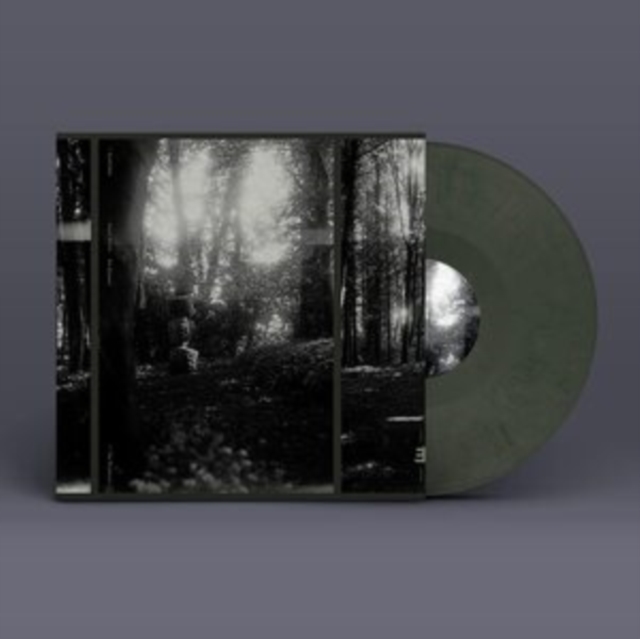 DALE - - The Wayfarers 1 x 12"" Vinyl Album  RELEASE DATE 21/07/23 - Vin image 1