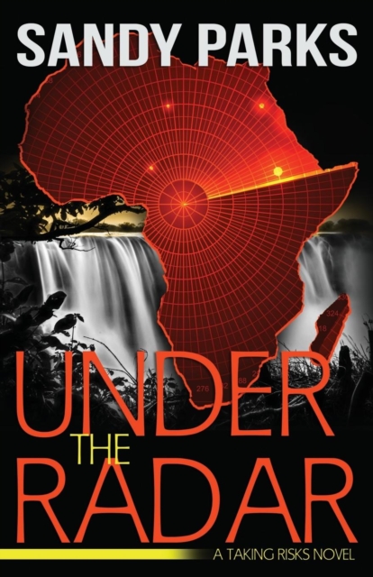 Under the Radar: A Taking Risks Novel