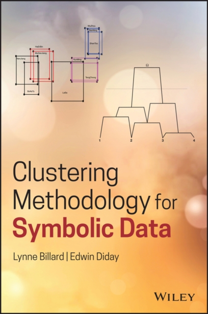 Clustering Methodology for Symbolic Data