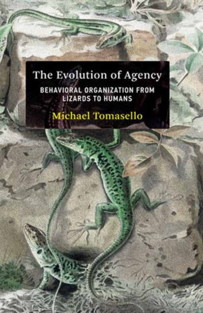 The Evolution of Agency : Behavioral Organization from Lizards to Humans