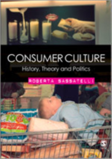 Consumer Culture : History, Theory and Politics