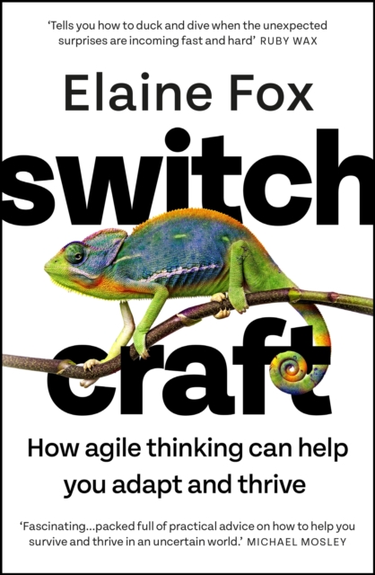 Switchcraft : How Agile Thinking Can Help You Adapt and Thrive