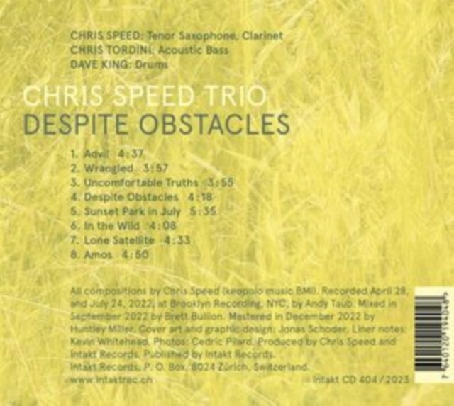 Chris Speed Trio - Despite Obstacles - CD image 1