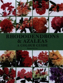 Rhododendrons & Azaleas: a Colour Guide