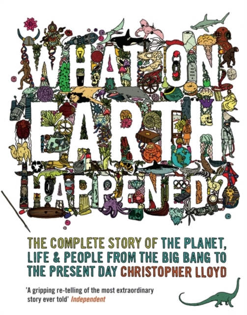 What on Earth Happened? : The Complete Story of the Planet, Life and People from the Big Bang to the Present Day