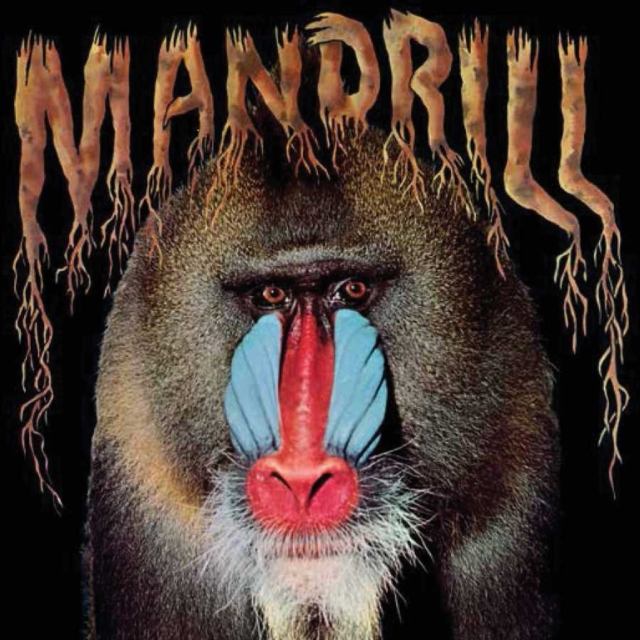 MANDRILL